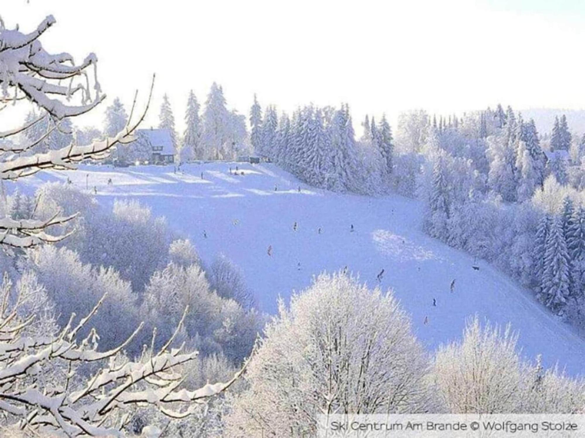 Cozy Apartment In Braunlage Near Forest Хоегайс Экстерьер фото